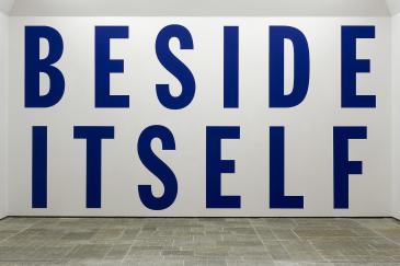 lawrence-weiner-tenderini-art-photography-panza-collection-008
