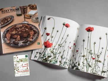 fotografo-arte-RoxyPaine-VillaPanza-tenderinifotografia-varese-03