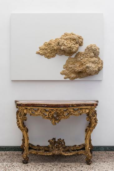 fotografo-arte-varese-villapanza-Paine-Webster-019